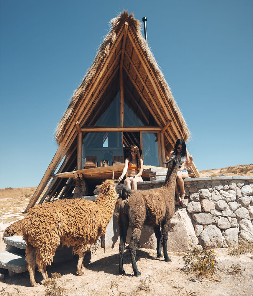 Picnic con Llamas – Mountain View - Foto 5