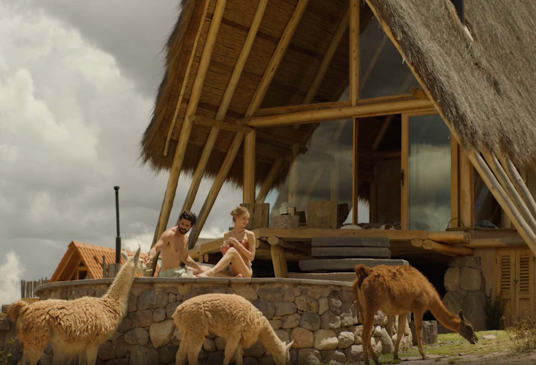 Picnic con Llamas – Mountain View - Foto 1